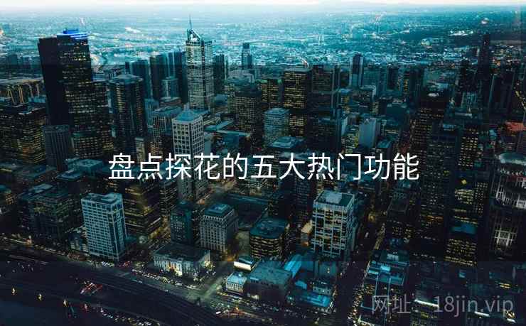 盘点探花的五大热门功能