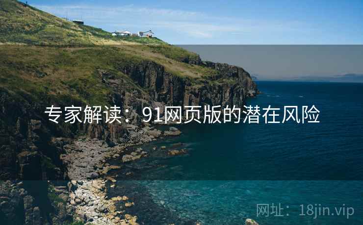 专家解读：91网页版的潜在风险