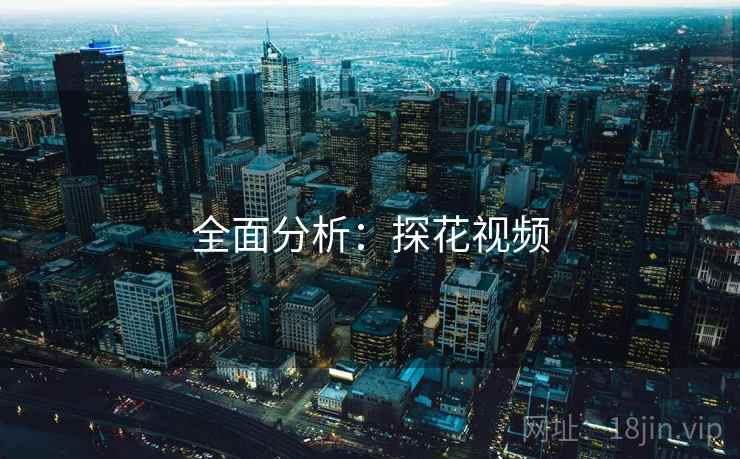 全面分析：探花视频