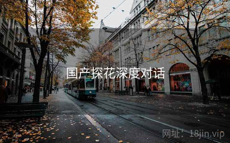国产探花深度对话