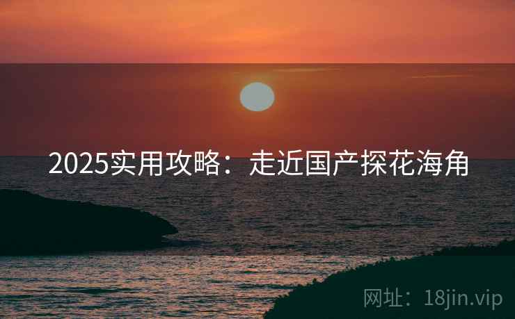 2025实用攻略：走近国产探花海角