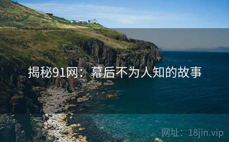 揭秘91网：幕后不为人知的故事