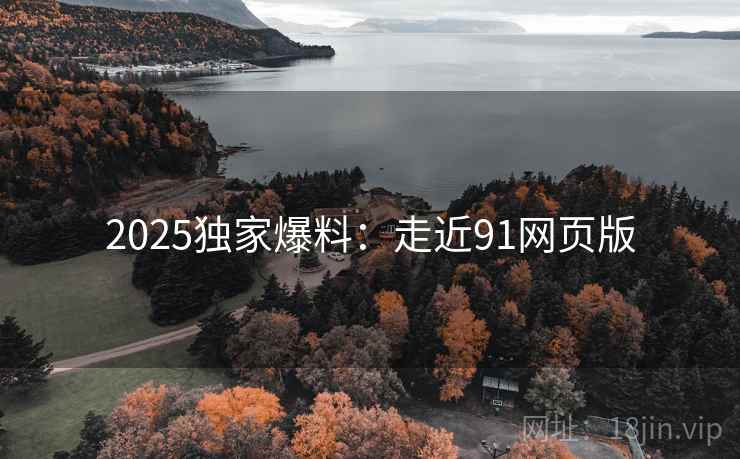 2025独家爆料：走近91网页版