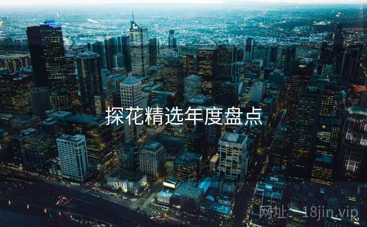 探花精选年度盘点