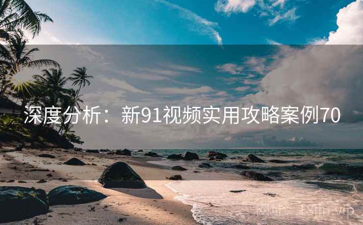 深度分析：新91视频实用攻略案例70