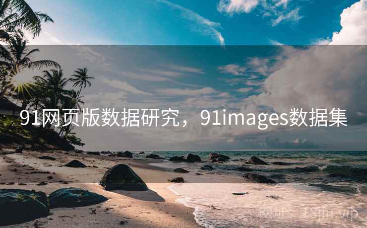 91网页版数据研究，91images数据集