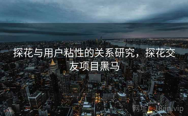 探花与用户粘性的关系研究，探花交友项目黑马