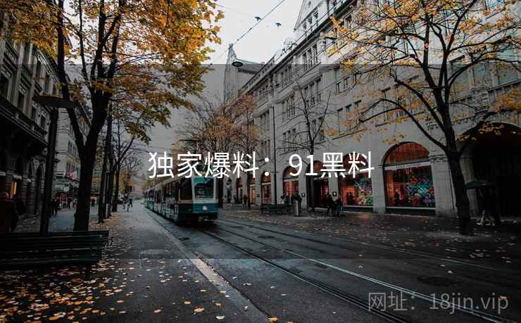 独家爆料：91黑料