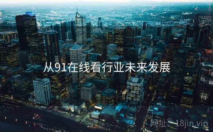 从91在线看行业未来发展