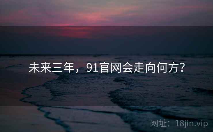 未来三年，91官网会走向何方？