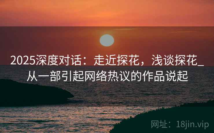 2025深度对话：走近探花，浅谈探花_从一部引起网络热议的作品说起