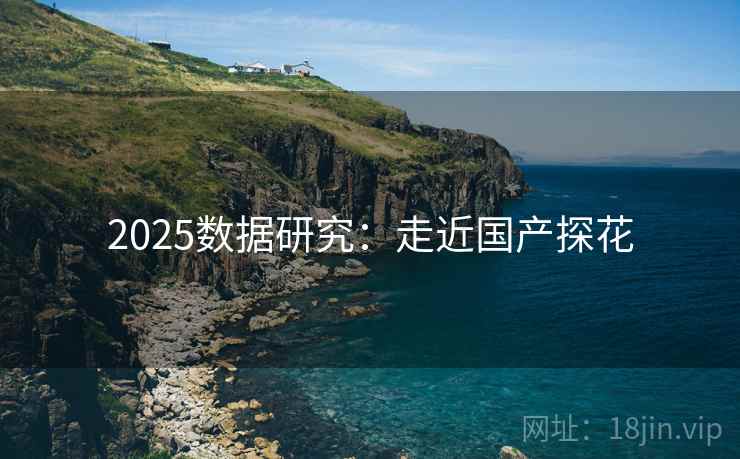 2025数据研究：走近国产探花
