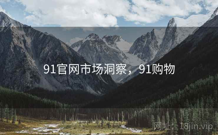 91官网市场洞察，91购物
