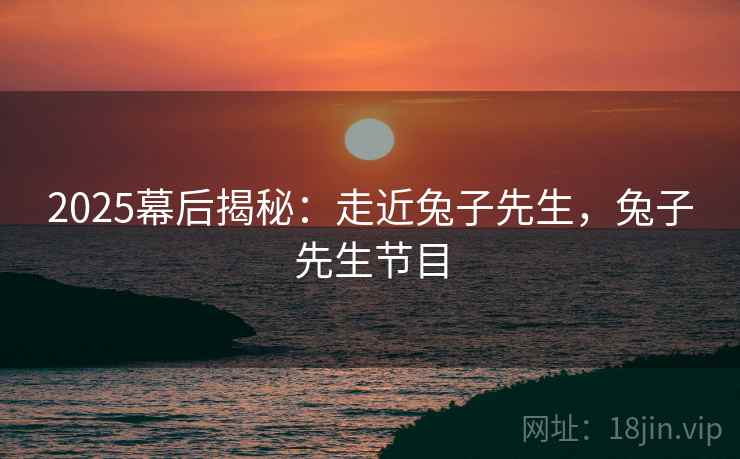 2025幕后揭秘：走近兔子先生，兔子先生节目