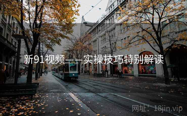新91视频——实操技巧特别解读