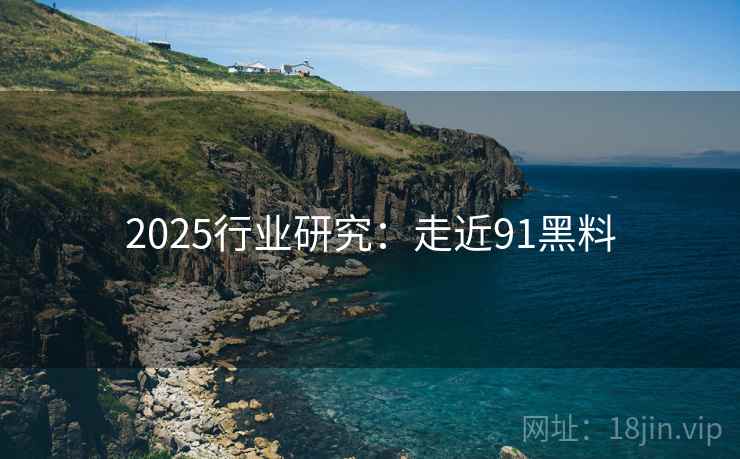 2025行业研究:走近91黑料 2025行业研究:走近91黑料